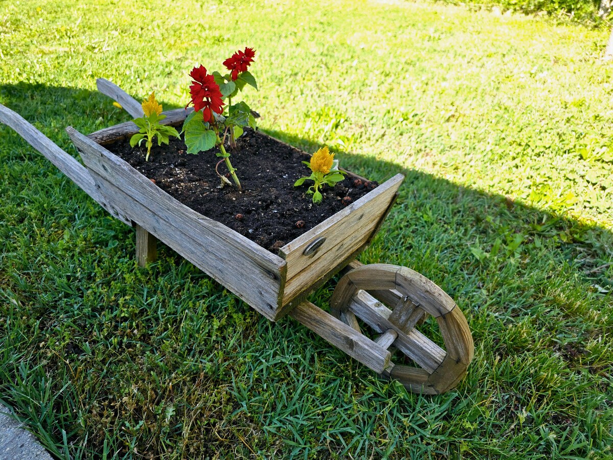 Dekorative Holzschubkarre mit Blumen im Garten, Ferienhaus Biograci